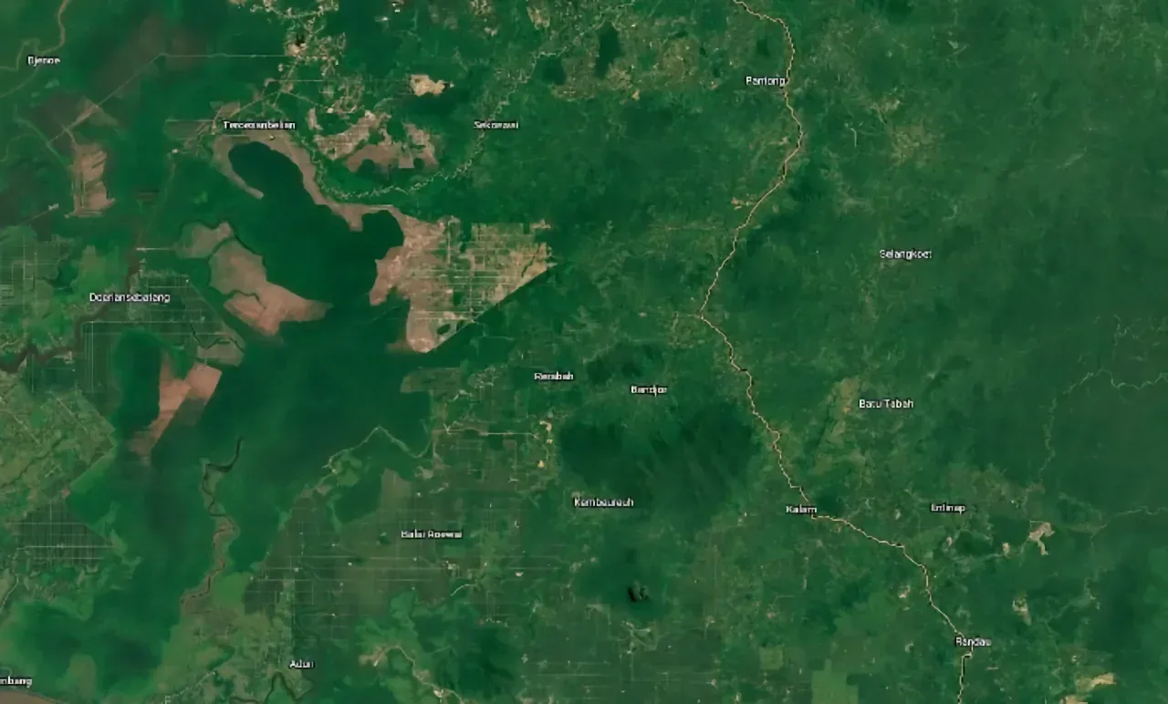 Satellite imagery depicting the landscape and vegetation cover in Mekar Raya. 