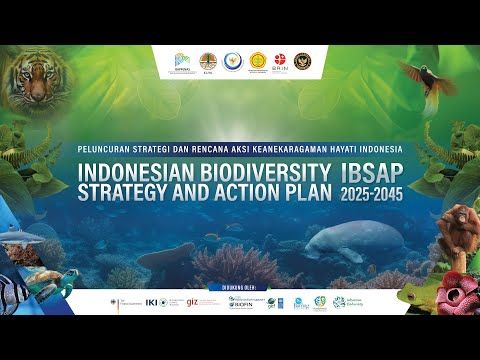 Conservation as the Root of Indonesian Culture, The Importance of Involving Indigenous Peoples for the Successful Implementation of IBSAP
