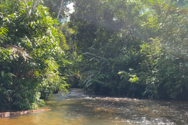 Sacred Amuntuda River. Photo: Aseanty Pahlevi/Mongabay Indonesia