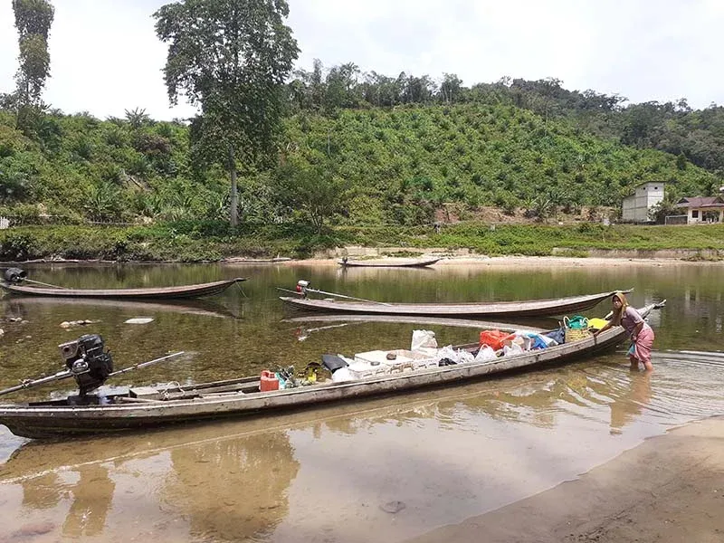 Pasar apung menggunakan perahu tradisional yang disebut piyau, berlangsung empat kali seminggu di Sungai Subayang. Tampak latar belakang pohon sawit yang mulai ditanam di wilayah ini. Foto: Suryadi/Mongabay Indonesia
