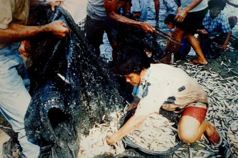 Pembukaan sasi lompa di Haruku, pada 1993. Foto: dokumen Eliza Kissya