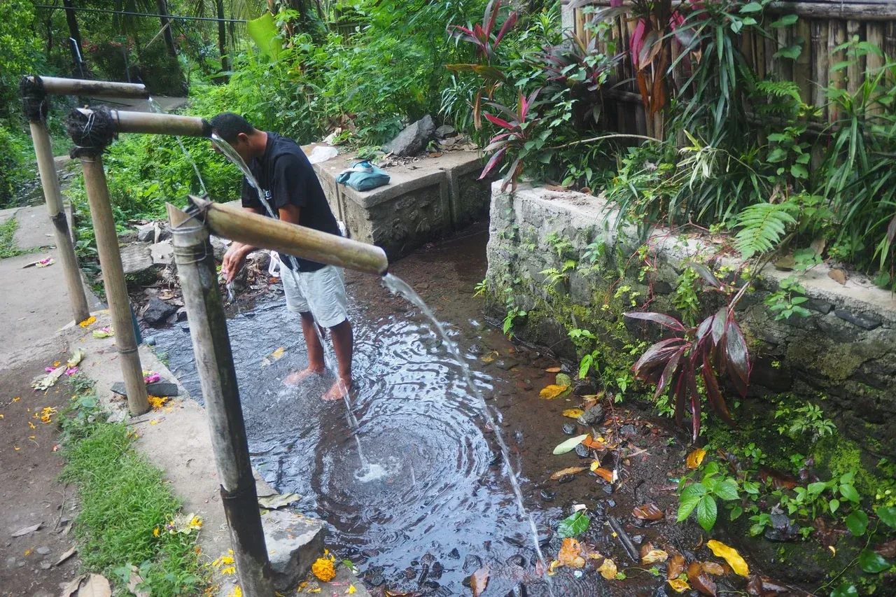 The Yeh Anakan water source, sanctified as a purification site. Photo: Luh De Suriyani/Mongabay Indonesia