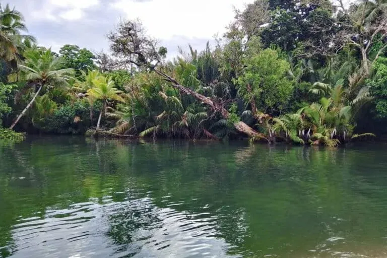 Sungai Learisa, Haruku. Foto: Edison Waas