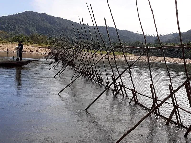 Jaring perangkap ikan di lubuk larangan. Sebuah praktik konservasi sungai di masyarakat adat sepanjang Sungai Subayang. Foto: Suryadi/Mongabay Indonesia