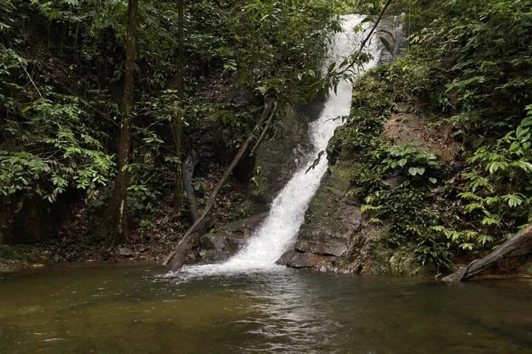 Riam Bang in Dayak Simpakng Customary Forest in Mekar Raya Village, Simpang Dua District, Ketapang Regency, West Kalimantan. Photo: aseanty Pahlevi/Mongabay Indonesia
