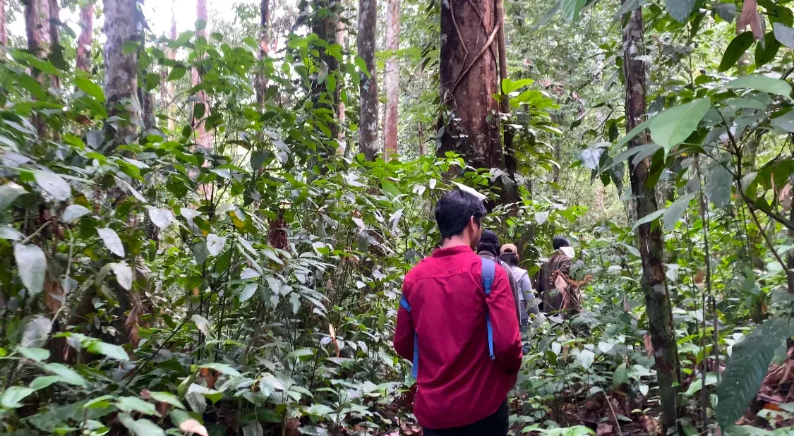 Cerita Para Perawat Hutan Adat Mekar Raya