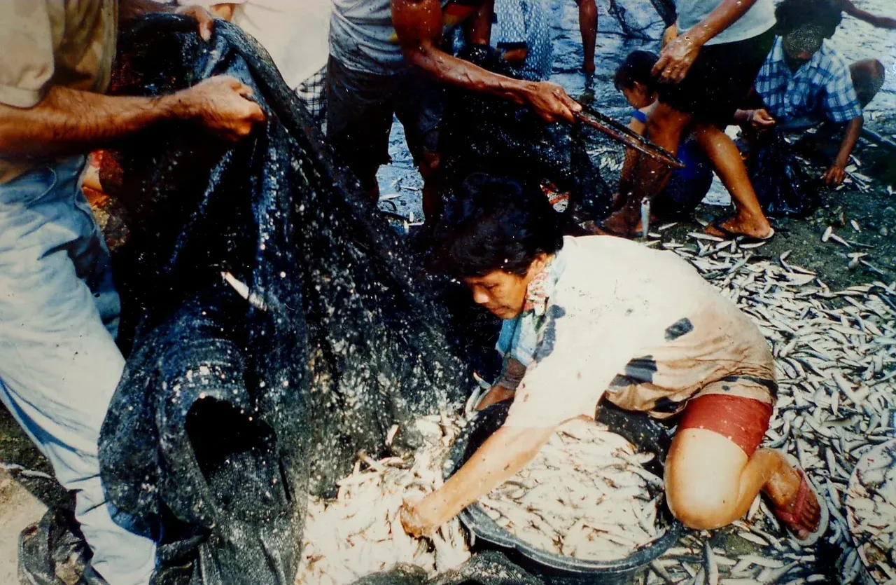 Sasi Lompa, Tradition of Coastal Protection by Haruku People