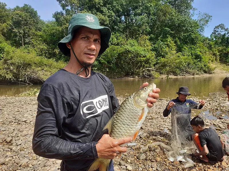 Wisdom of the Malako Kociak Indigenous Community: Protecting the Subayang River with Lubuk Larangan Rules