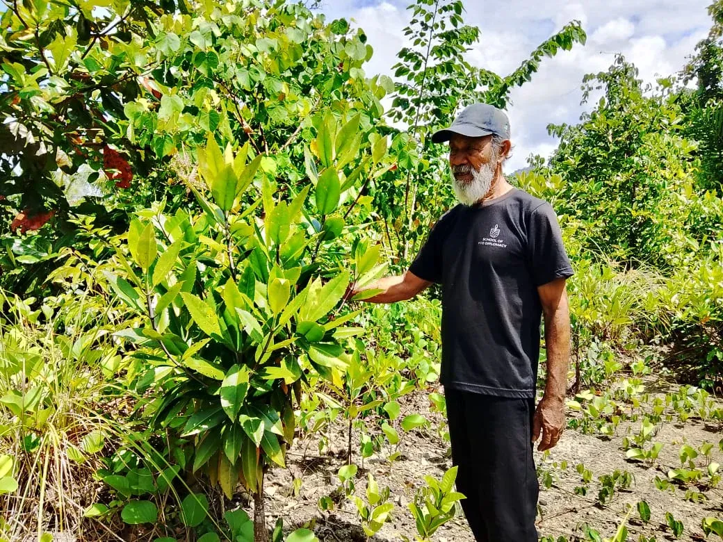 Caring for Mangroves, the Life Fortress of Haruku State