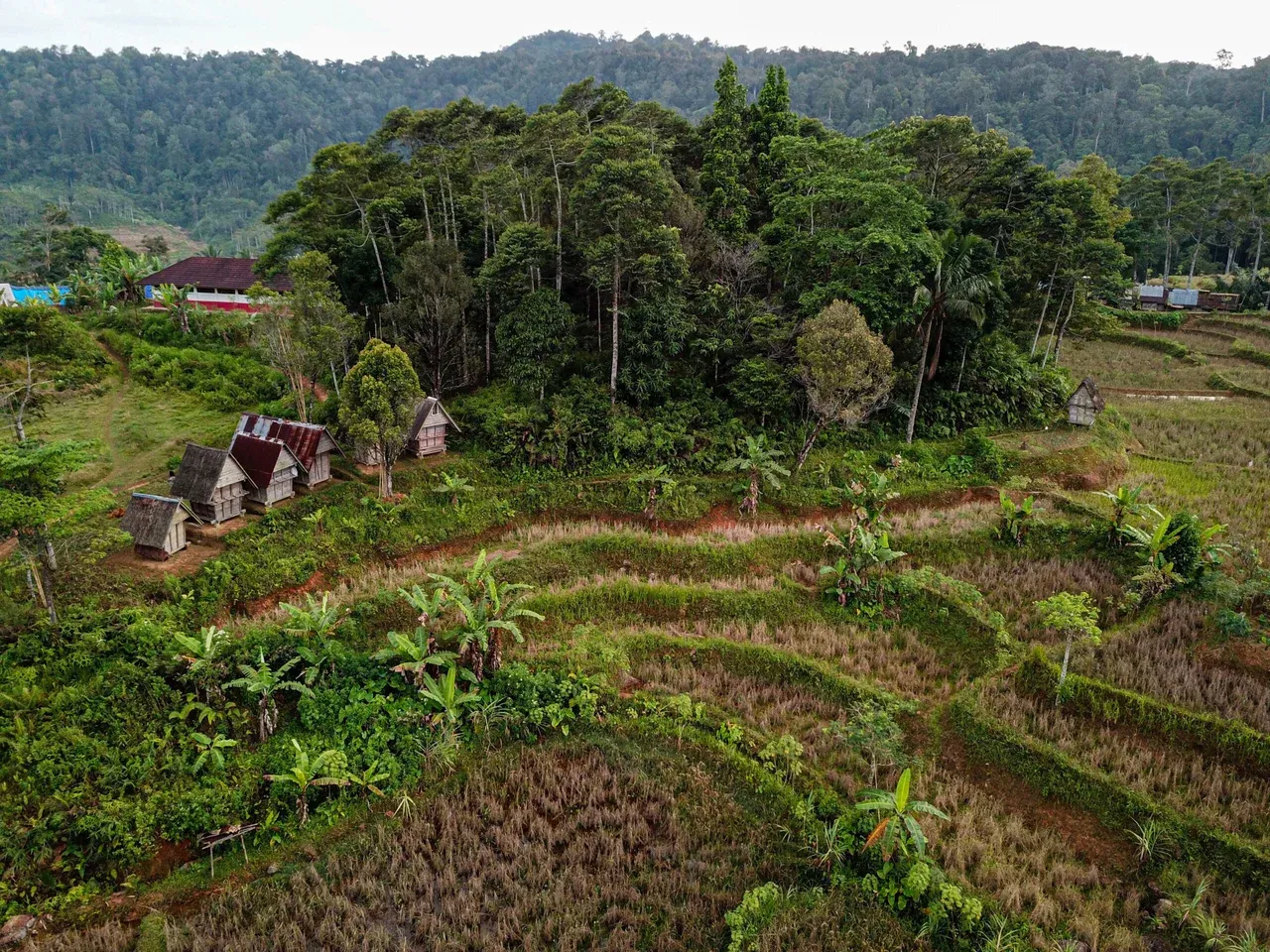 Customs and Challenges of the Fading Local Knowledge in Kasepuhan Cibedug