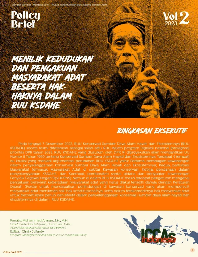 Examining the Position and Recognition of Indigenous Peoples and Their Rights in the KSDAHE Bill