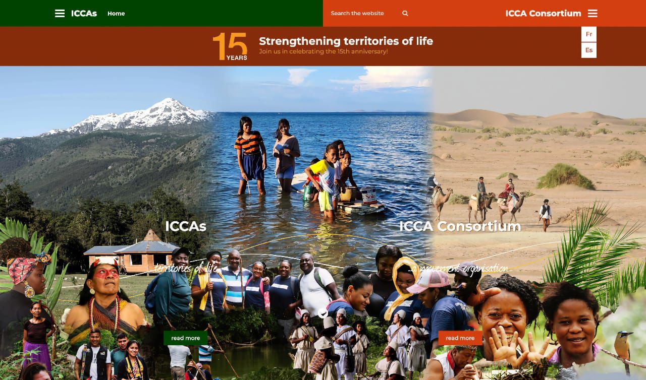 ICCA Consortium