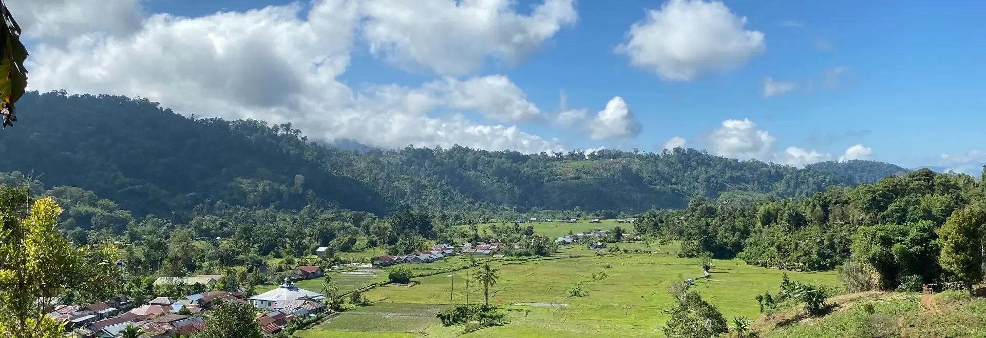 Berita