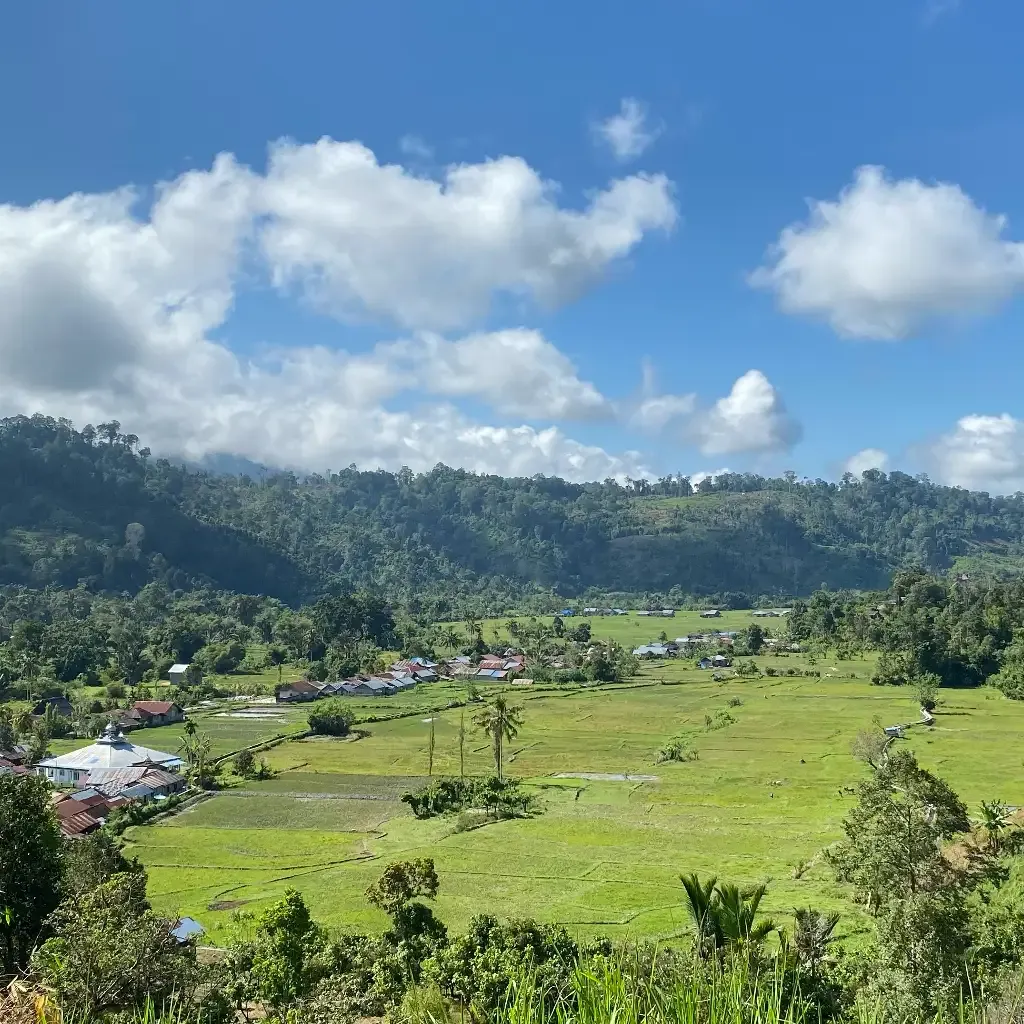 Berita