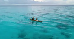 Di balik hutan yang lestari, laut yang terjaga, dan bentang alam yang hidup, terdapat komunitas yang terus merawatnya setiap hari.