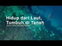  Hidup dari Laut, Tumbuh di Tanah, Kearifan Kelola Alam Orang Padaidori